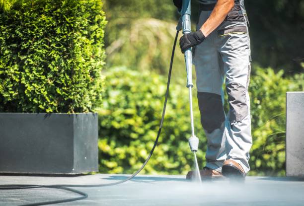 Best Patio and Deck Pressure Washing  in Canby, MN