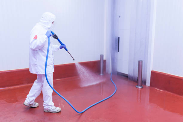 Best Driveway Pressure Washing  in Canby, MN