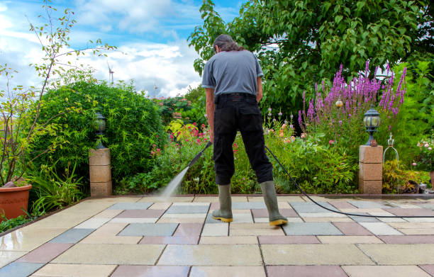 Best Pre-Holiday Cleaning  in Canby, MN